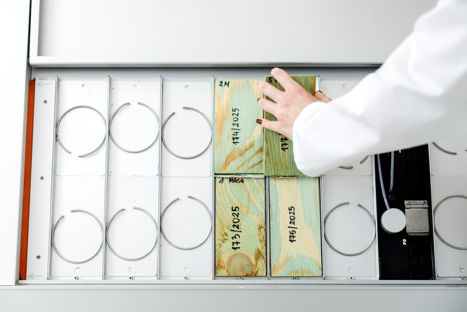 Wood-based specimens prepared for testing in a chamber